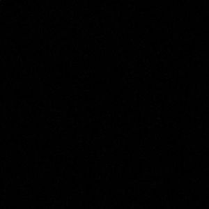 Meet your Posher, Wayne